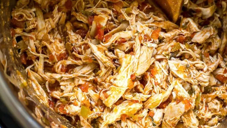 Simple Salsa Chicken Recipe with Ingredients You Already Have